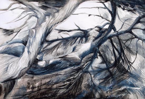 watercolor on paper, black and white drawing