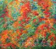 painting of Israeli landscape, mood painring on canvas, for home design,acrylic on canvas 